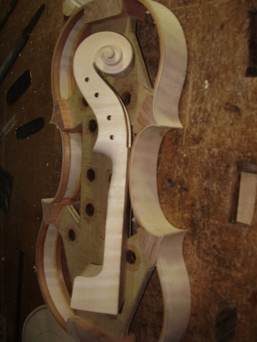 Renzo Mandelli, violin parts