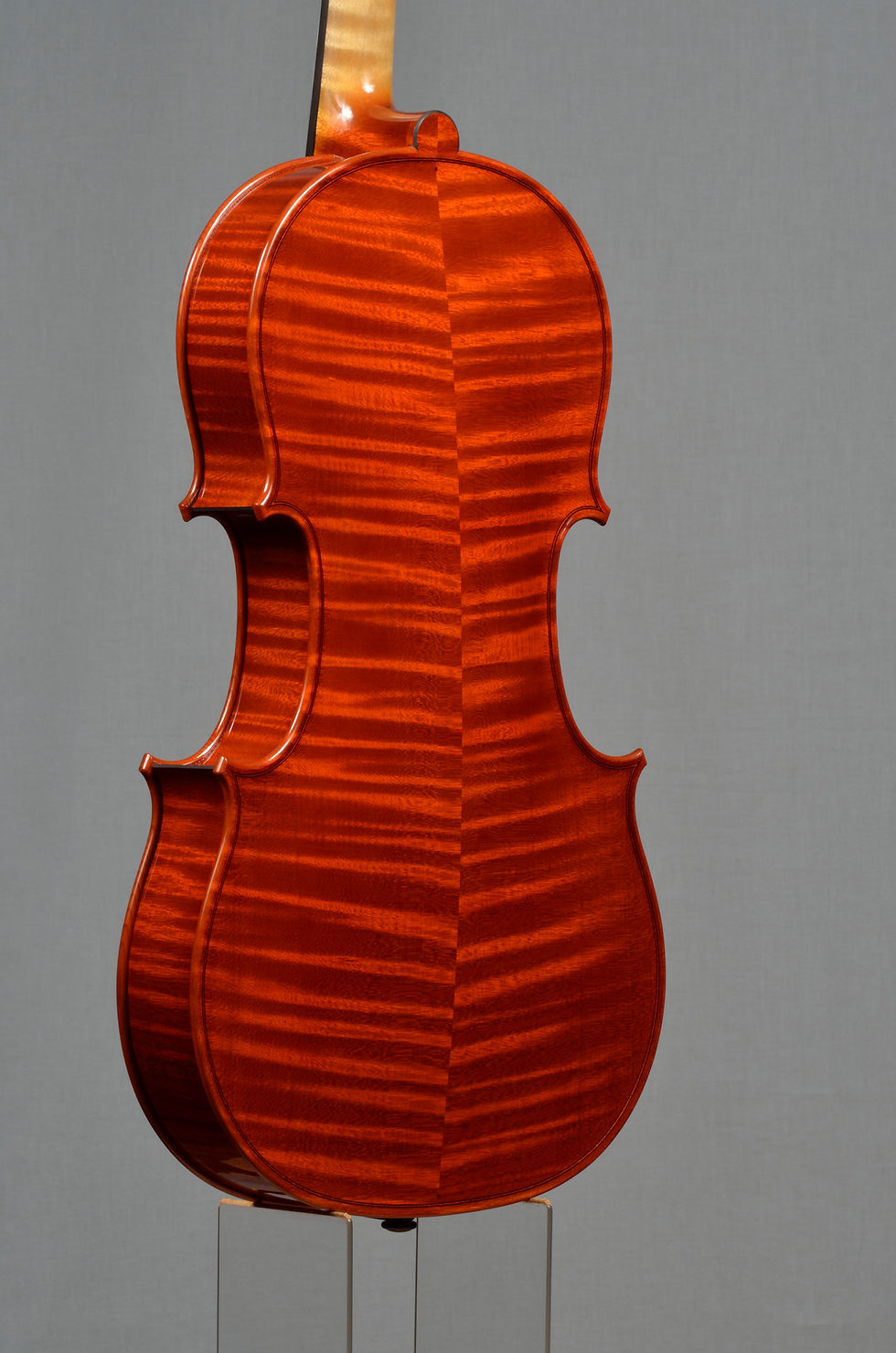 Beck & Brugnini viola 410mm 2013