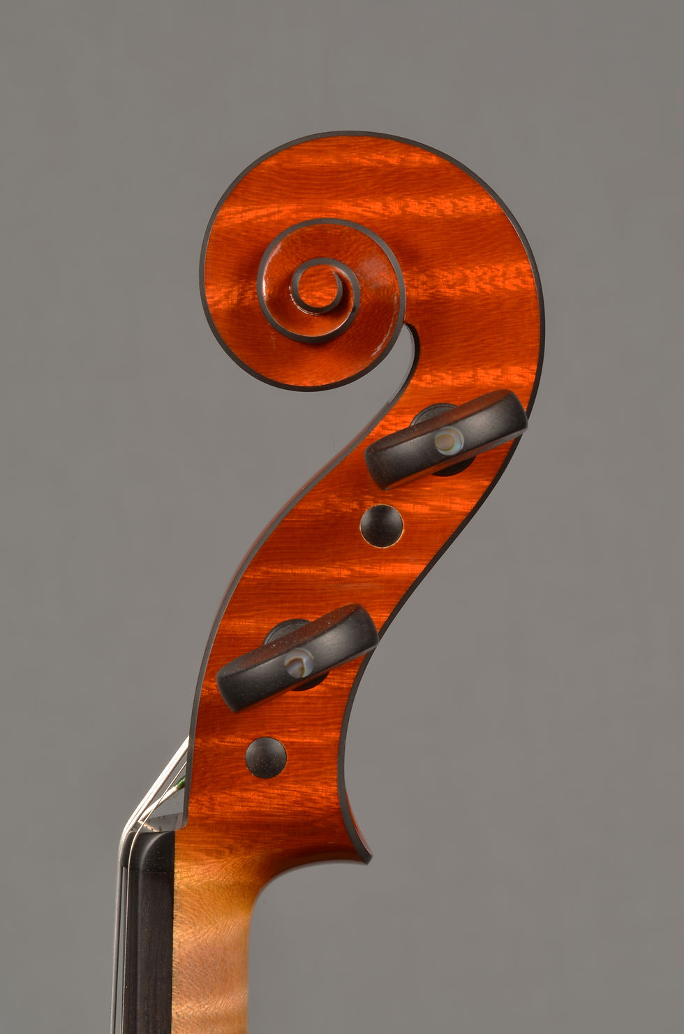 Brugnini & Beck violin 2014