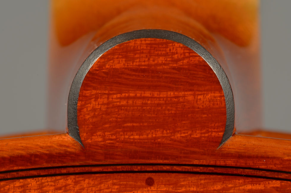 Brugnini & Beck violin 2014