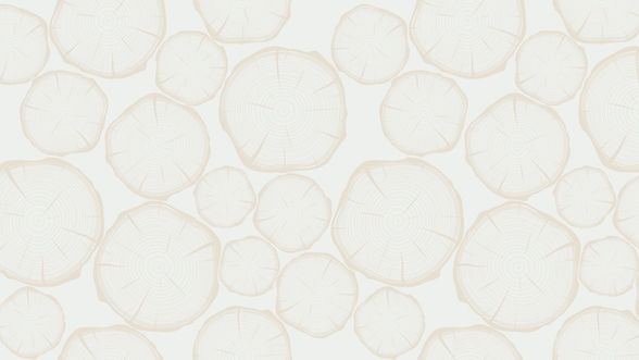 BodhiSol Background 4.jpg