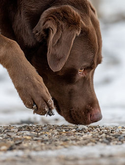 AdobeStock_409659819 (1).jpeg