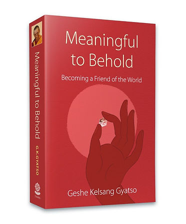 meaningful-to-behold_3d-paperback-front_2019-02.jpg