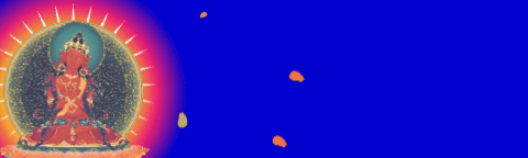 BANNER.gif
