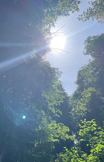 © Ursula_edited.jpg