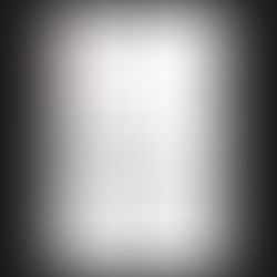 HOW TO AVOID A DENIAL WHEN CHANGING STATUS IN THE U.S.          Our client’s story