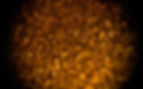 Golden Sparkles
