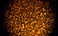 Golden Sparkles