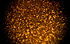 Golden Sparkles