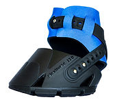 03. FlexHorse Blue.jpg