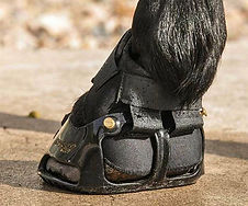 Gaiter 2.jpg