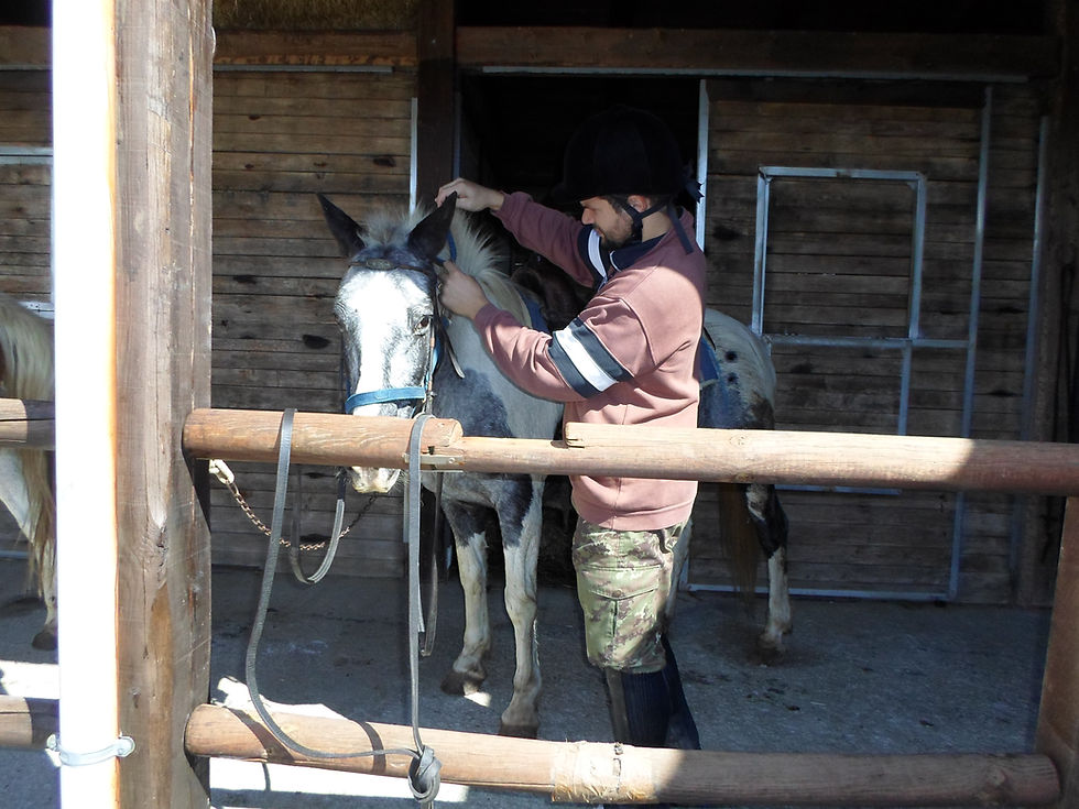 lezione di equitazione