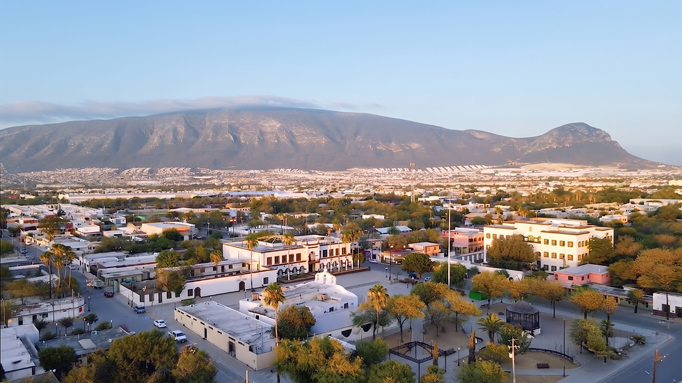 VISTA PANORÁMICA DE GENERAL DE ESCOBEDO
