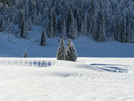 Three Poems by Ivan Peledov