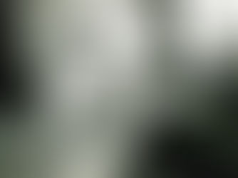 Richard Shelton: Poet of Desert and Prisoners