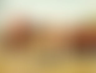 Excerpts from the book in process