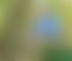 BLEND IT LIKE BECKETT