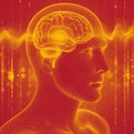 brain-8825822_1280_edited.jpg