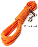 check cord_edited.jpg