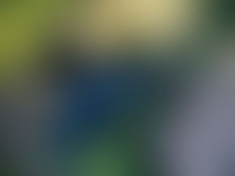 Off the beaten track in the Top End