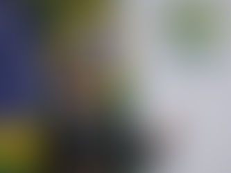Depois de nos tirar a aposentadoria, Bolsonaro quer tomar ainda mais nossos direitos trabalhistas