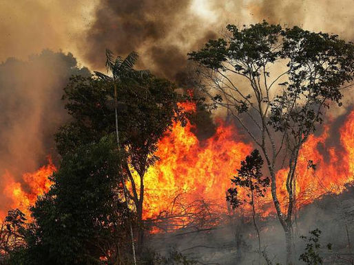 Sob governo de Bolsonaro/Mourão, a Amazônia está em chamas: após desmatamento, queimadas aumentam 83