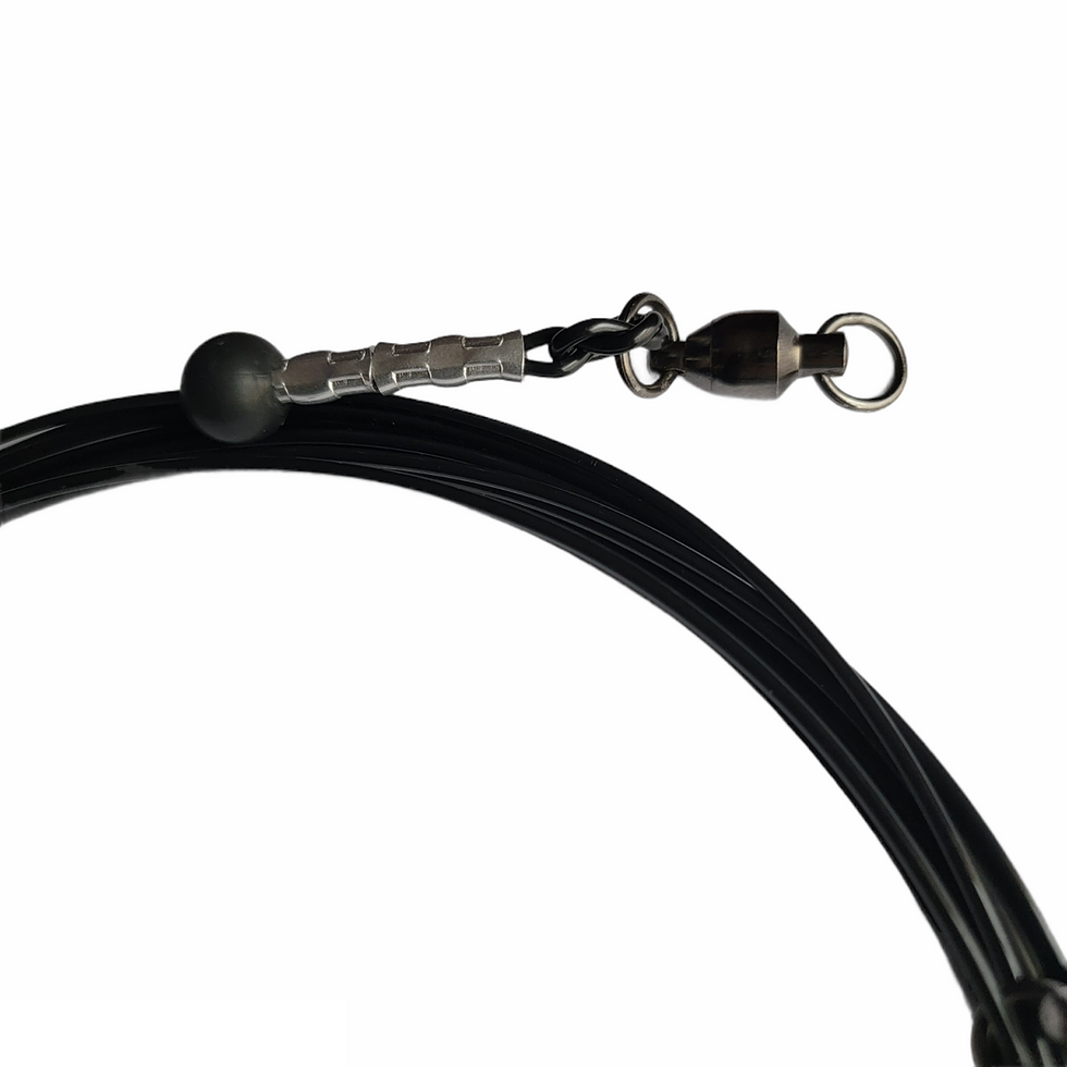 FISHING LEADERS Shark Fishing Worldwide