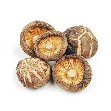 Albino Penis Envy Magic Mushrooms