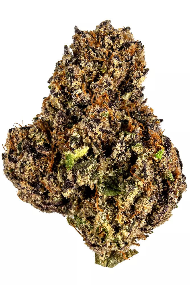 Killer Bee (SATIVAHYBRID) Medical High