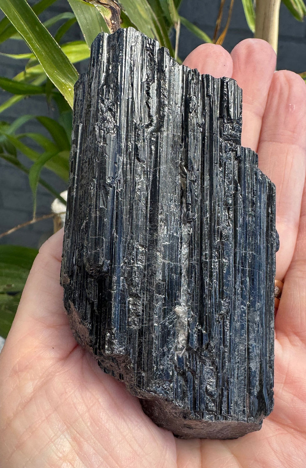 Black Tourmaline Rough from 142g to 287g