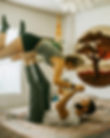 102358489_3126438847414432_848175386716799029_n.jpeg
