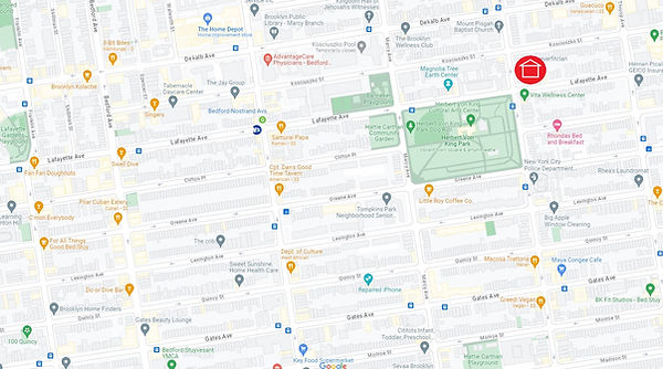 Lafayette Ave Map 2.jpg