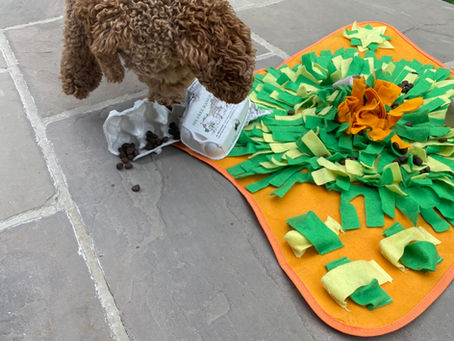 Why Sniffing is Serious Business