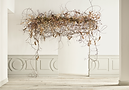 empty room nature (12).png