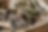 Vintage family memories on rustic wood.png