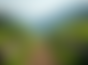Gardening Made Easy in High Altitudes: High-Altitude Gardening Tips