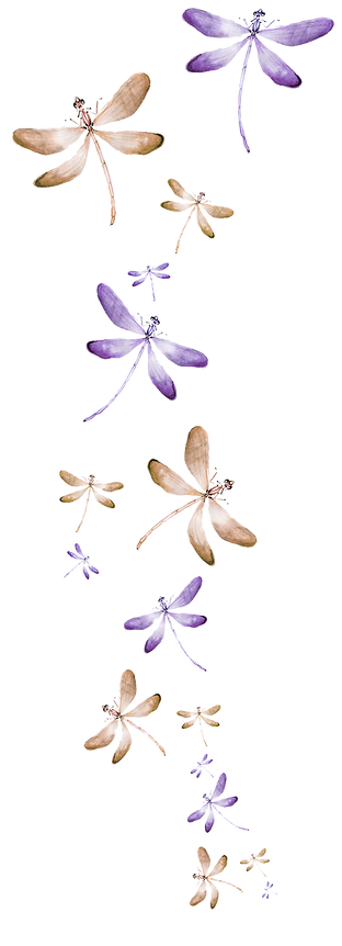 dragonfly-newest-home-smaller.png