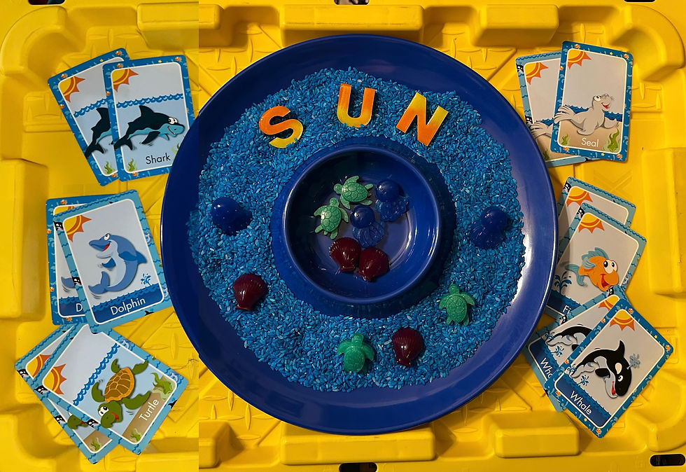 Ocean Explorer Sensory Tray – Summer Fun Under the SUN
