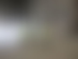 Learning Beyond the Desk: The Value of Site VisitsÂ