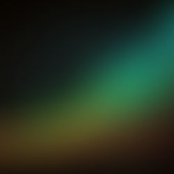 How We Help Businesses Grow: The Growth Forge Studio Approach to Marketing and Team Empowerment