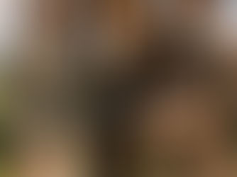 No Bond Is More Secret— a Woman and the Universe of Her Horses