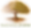 De Boom.png