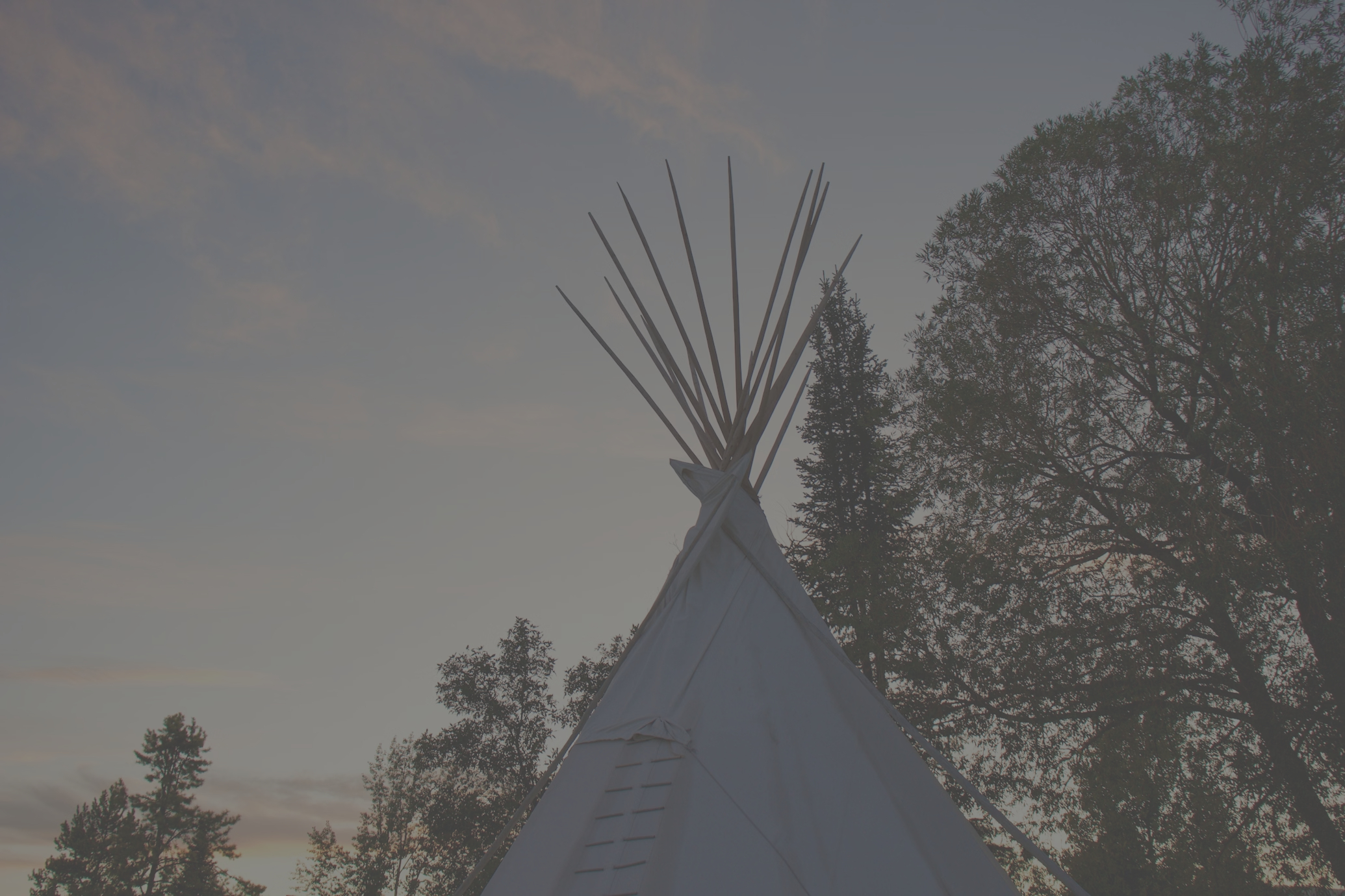 photo-1581701391032-33cb5e7b44fe (1)_edited.jpg