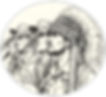 NVSF.jpg