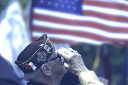 Veteran-saluting_edited.jpg