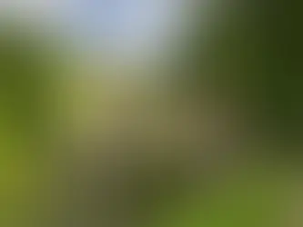 Design History: Palladian Architecture