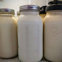 milk-1-1208150f-200x200.jpg