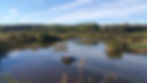 Top of the Woods Glamping Campsite in Pembrokeshire Wales, UK. Luxury Eco Camping Glamping Holiday Staycations, Dog Friendly and in Nature - Wild Swimming in Cardigan Bay