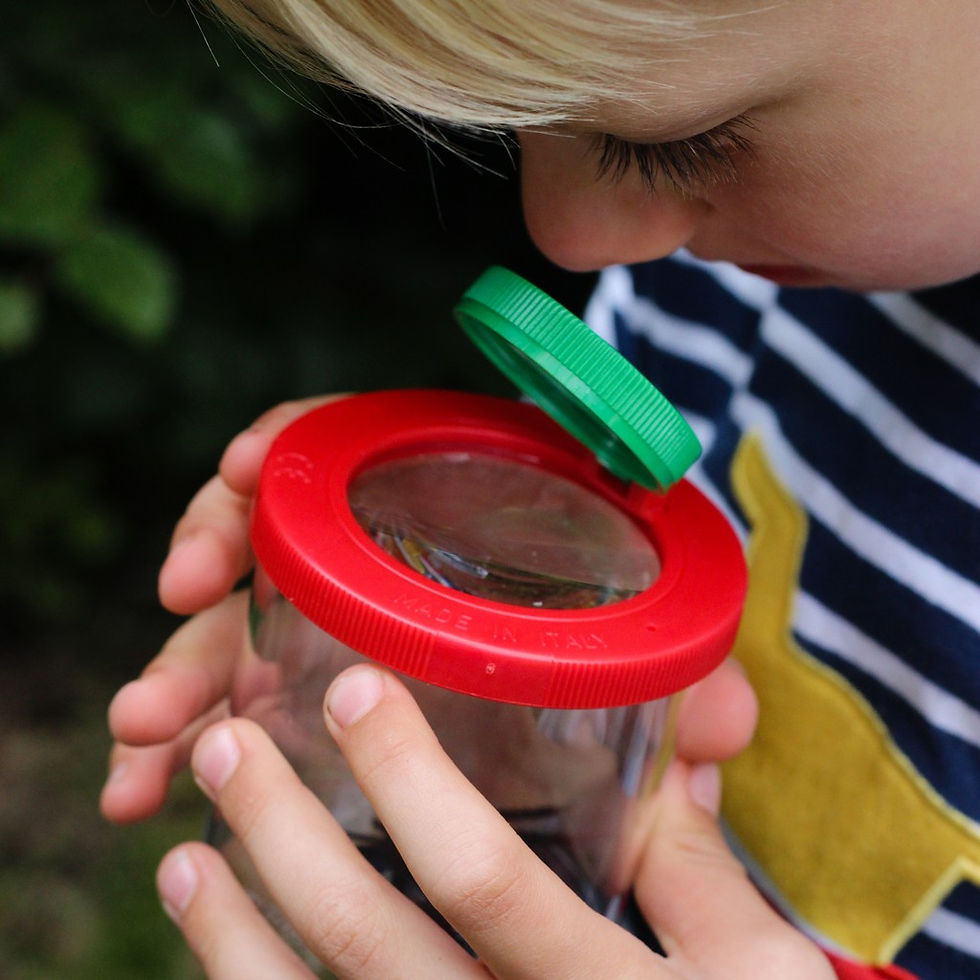 Miniaturbild: Expedition Natur Becherlupe