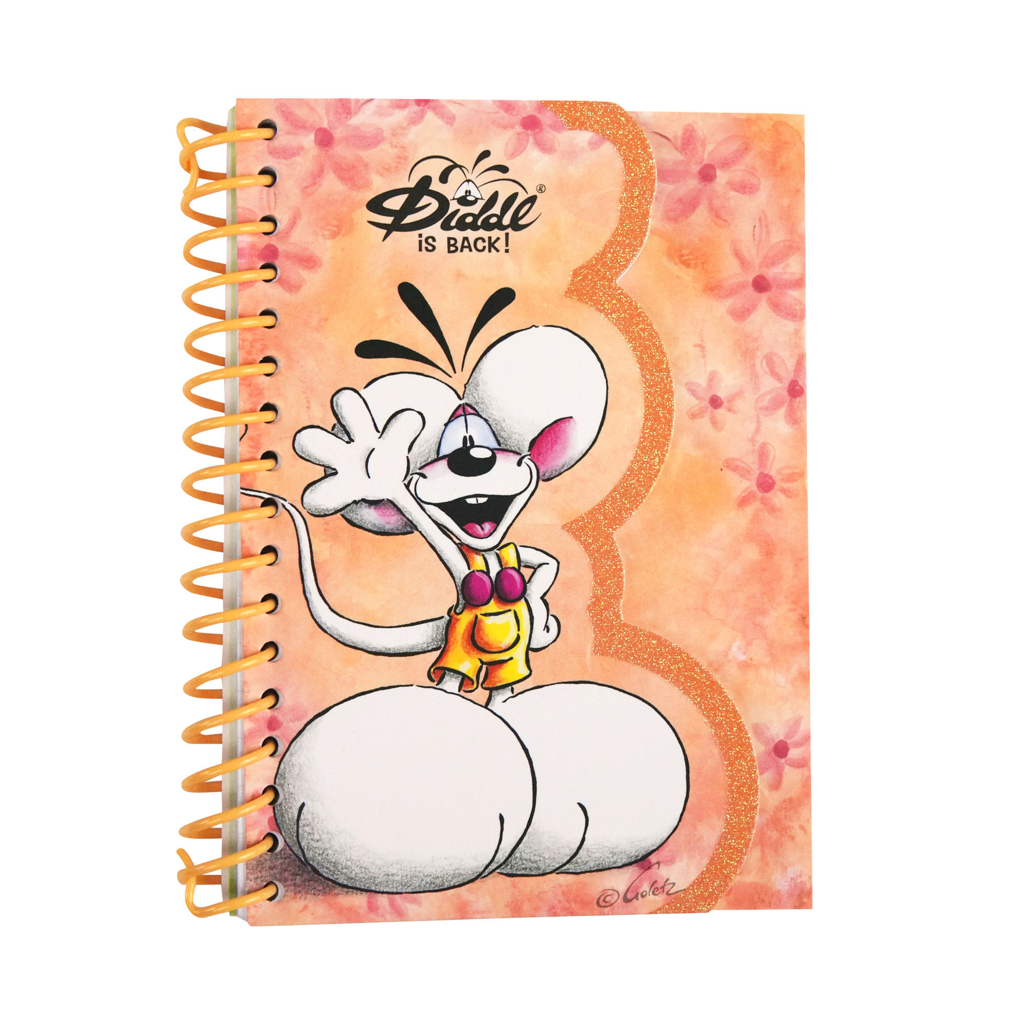 Notizbuch A6 Diddl